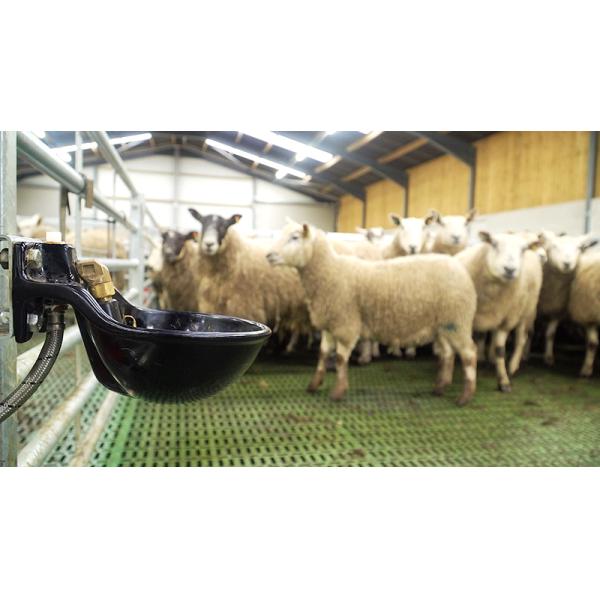 Алюминиевое стекло из сплава металлического металла Конструкция помещения для фермы козов Стальная конструкция Дом для овец Приют PKPM Рисунок