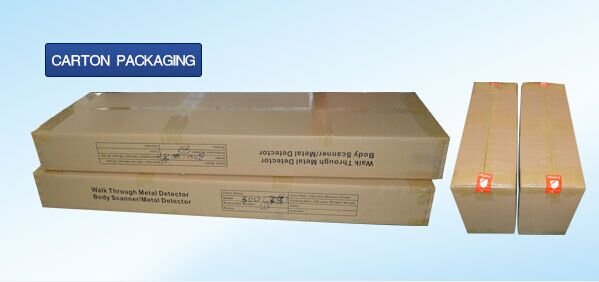 Предварительная прогулка незатухающей волны через дверь металлоискателя свода дистанционного управления ворот