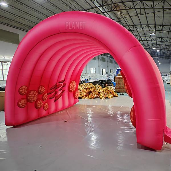 Custom Advertising Inflatable Sport Tunnel Promotion Tunnel Giant Display Tunnel Tent