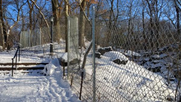 chain wire fencing for sale hot dipped galvanized chain mesh wire