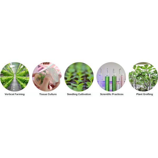 Muizlux 18W Led Fluorescent Tube Replacement Grow Light IP66 SG01-RO