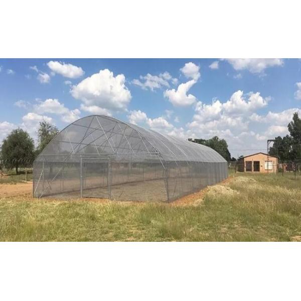 PEP Film Galvanized Coil 100m Prefab Greenhouse Shed