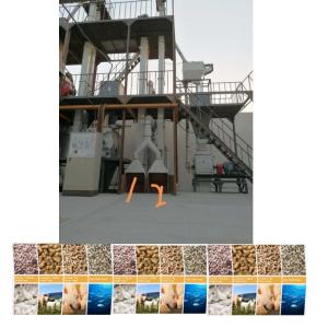 Ligne de production commerciale de pellets pour animaux de compagnie
