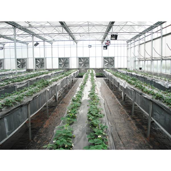 Многопролетная теплица Steel Flame, коммерческая стеклянная теплица с зимним укрытием и гидропонной системой