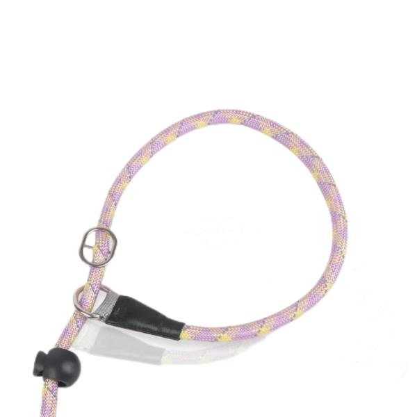 Sessões de Treinamento de Cadeia de Cães à Prova de Explosão de Alta Segurança