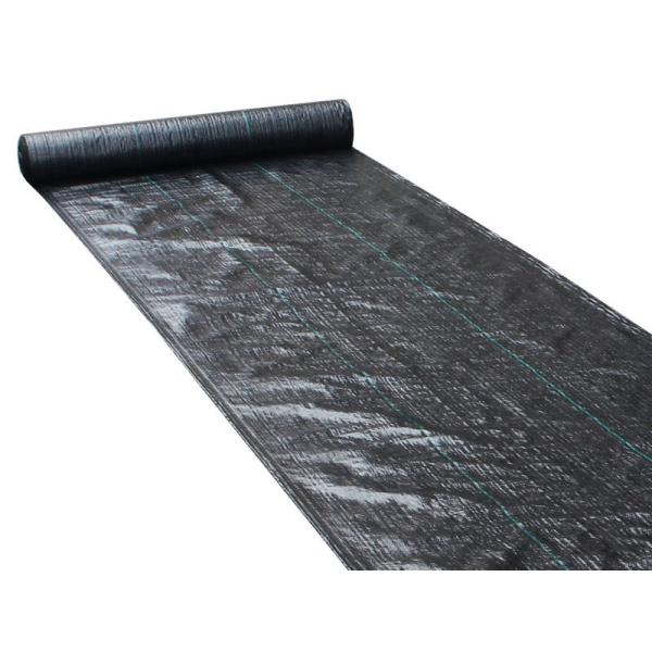 Agricultural Plastic Garden Weed Control Membrane With UV Protection 1m - 6m