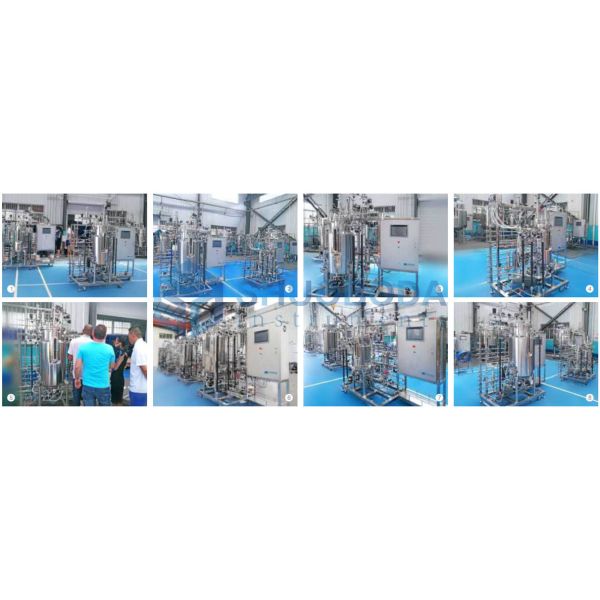 Laboratory Stainless Steel Bioreactor Fermenter FMT-S Series