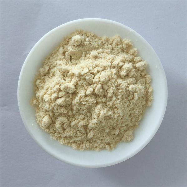 Migraine Relief Black Ginger Powder With Best Price