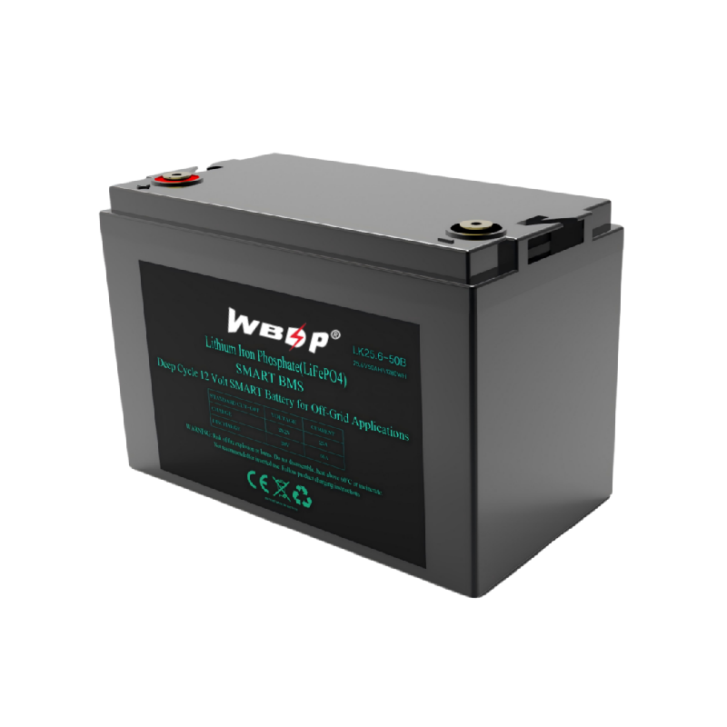 25.6V 50Ah LiFePO4 Battery Lightweight Prismatic LiFePO4 Battery Cell Maintenance Free