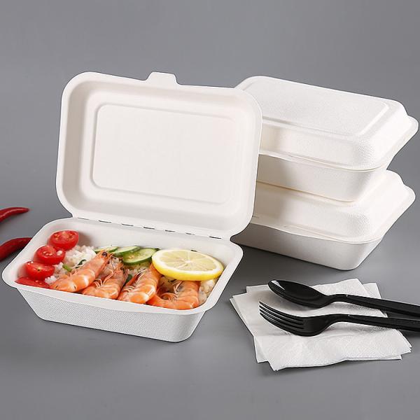 Disposable Party Dinnerware Take Away Salad Box 850ml 1100ml 1300ml Sugarcane Bagasse Pulp Box Packaging