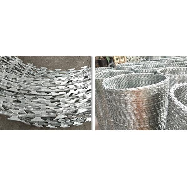 Arame farpado obrigatório da lâmina de lâmina do carbono 2.5mm do Hdg baixo