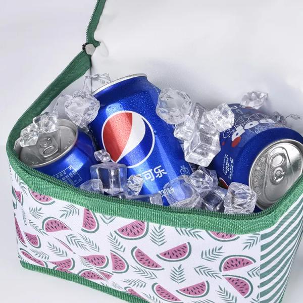 Водоустойчивым изолированная охладителем сумка обеда универсальная для пива 6 пакетов