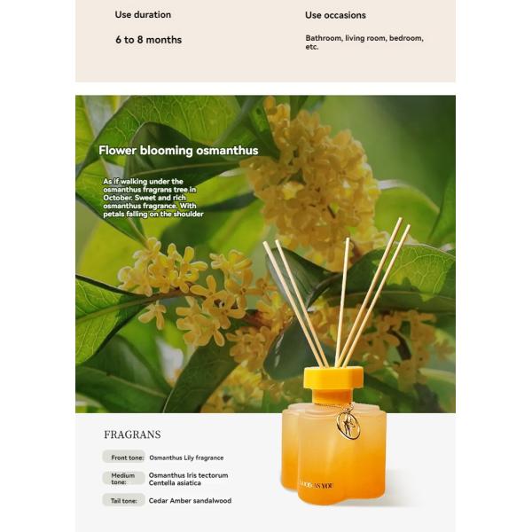Experience the Benefits of Non-Flammable Osmanthus Aromatherapy at Home and Office