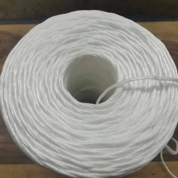 UV Resistant Polypropylene Tying Twine with High Tensile Strength (105KGF - 250KGF) and Customizable Length for Greenhouse and Agriculture