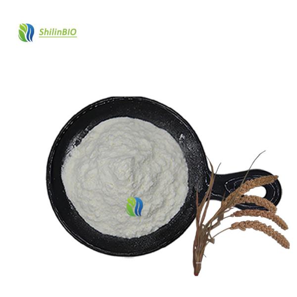 Rice Bran Extract Pure  98% Ferulic Acid Powder