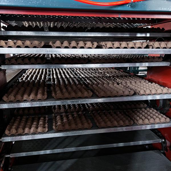 Waste Paper Recycling Egg Carton Tray Machine New Cheap Price Small Business Fully Automatic Paper Pulp Egg Tray Production Line
