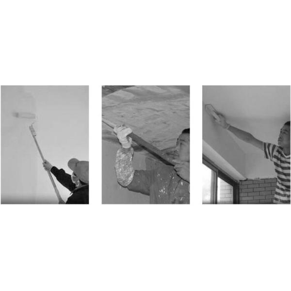 Water Based Airless Paint Sprayer / 1.5L/Min Magnum Paint Sprayer