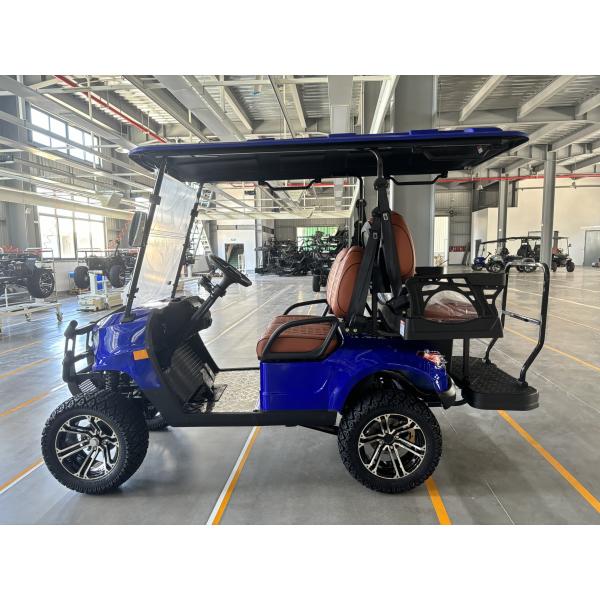 Электрическая повозка для гольфа 2+2 пассажирские свинцовые батареи