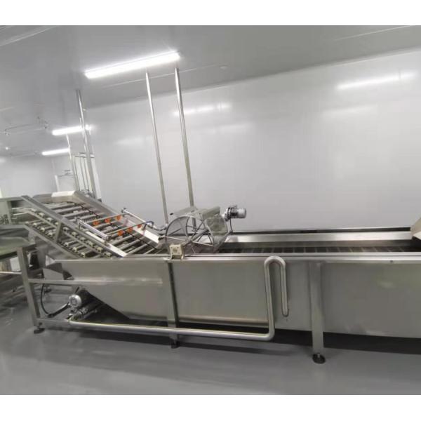 Capacidad de producción de lavadoras de frutas y verduras de tipo burbuja