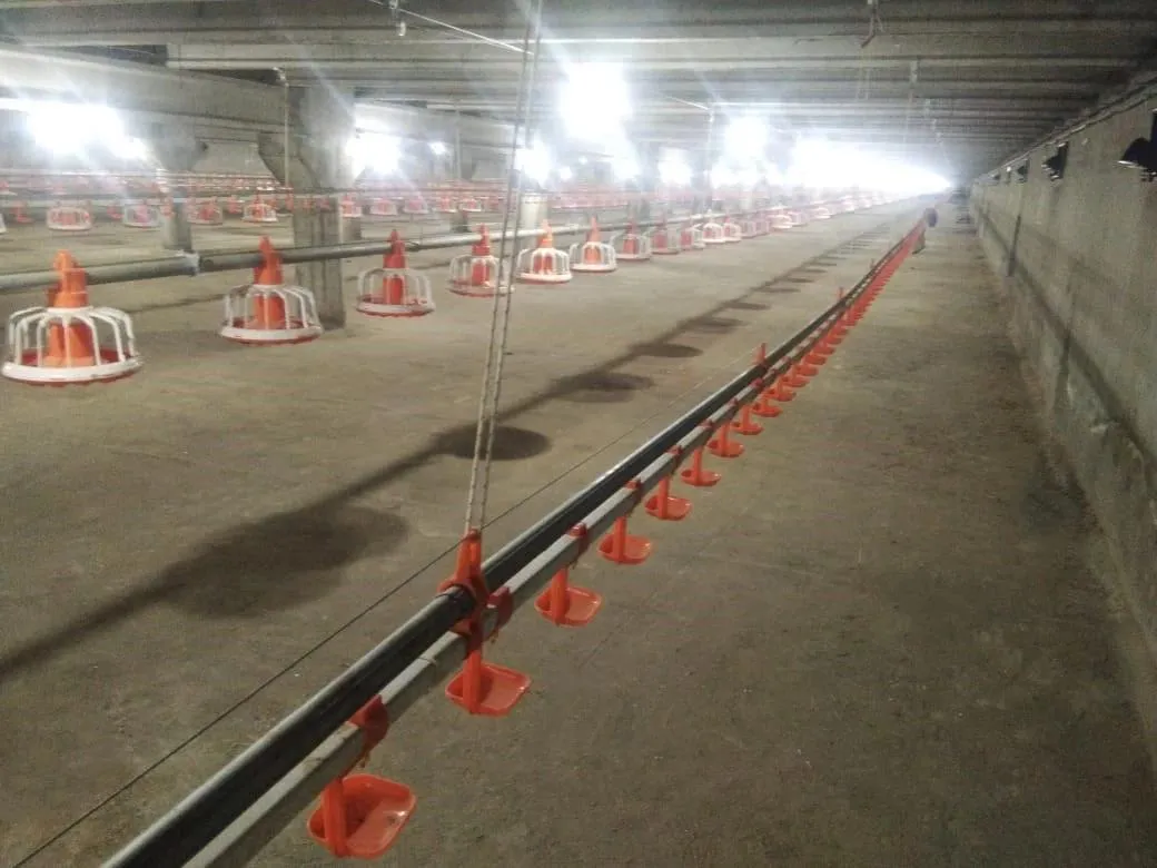 Poultry Farming Feeding System Plastic Precise Control Broiler Pan Feeding System