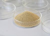 Good Stability Immobilized Enzyme Lipase Insoluble In Water