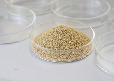 Good Stability Immobilized Enzyme Lipase Insoluble In Water