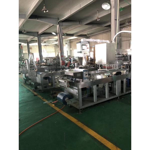 Плоский тип машина упаковки волдыря фармации SS 304 машины упаковки волдыря