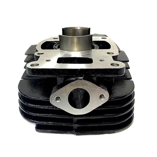 Replace/Repair Purpose Cylinder Head for Yamaha TS 125 Motorcycle Parts and Accessories