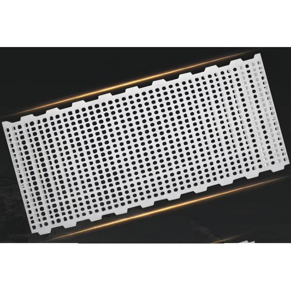 Goat Farm Plastic Slatted Floor Broiler House White / Customized