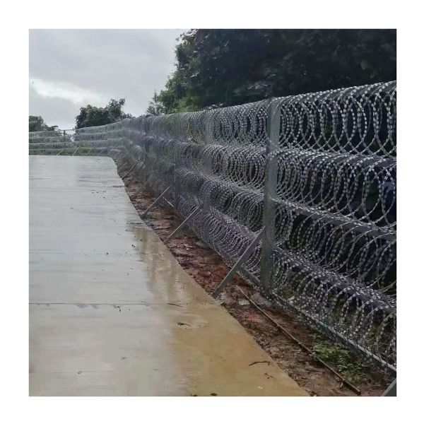 500 M Barbed Wire Galvanized Razor Wire Anti Climb Bird Protective