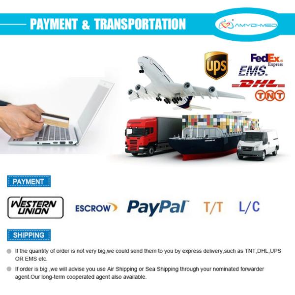 5 Lead 10 Lead Ecg Cables And Leadwires With ISO 13485 Certificated