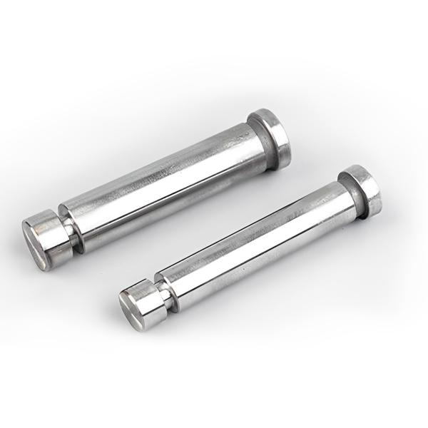 Customized Punches HSS Stamping Die Parts With M2 Punch And DIN9861 D Standard