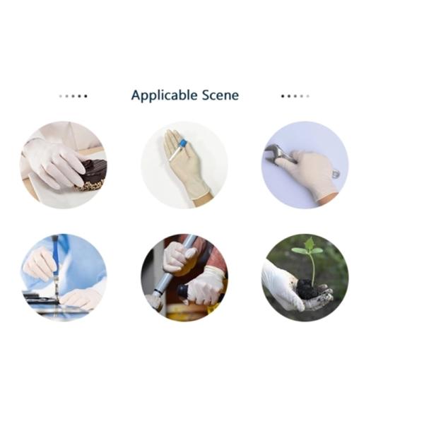 Safety Protective Disposable Latex Examination Gloves Used For Medical