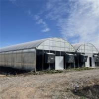 Plante hydroponique poussant dans une serre en polycarbonate Privation de lumière