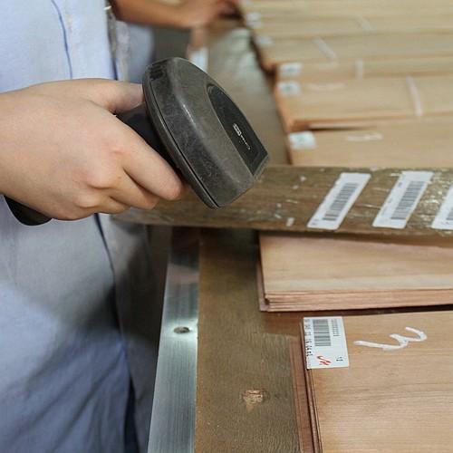 Solid Wood American Elm Sheets Grade A For Quarter Cut Crown Grain Natural Color For Door Face 3200mm Up
