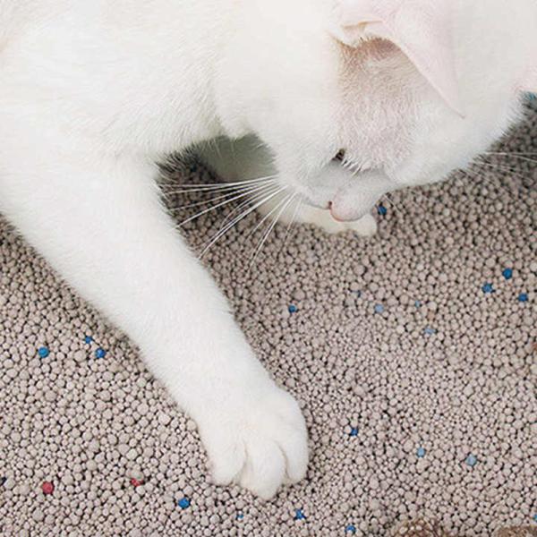 Pet Cleaning Bentonite Clay LitterDust Free Clumping Cat Litter With Colored