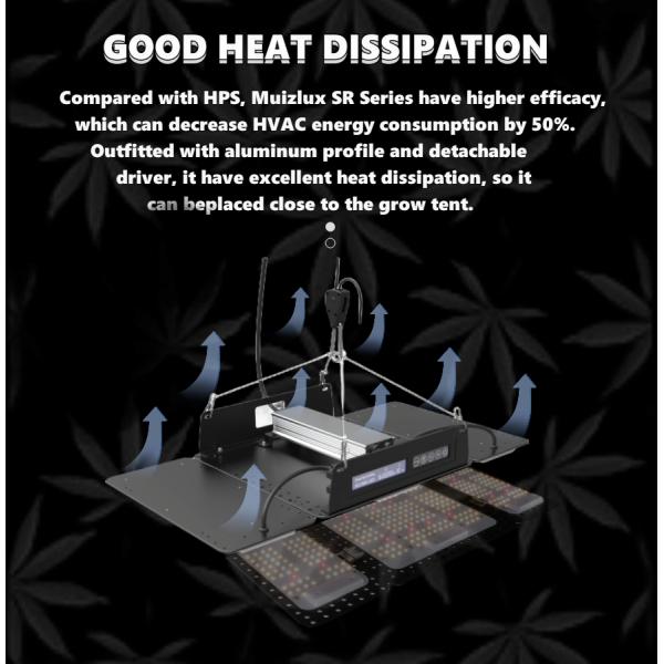600d Indoor Grow Tent Complete Kit Metal Pole с высокоэффективной лампой 90x90x180