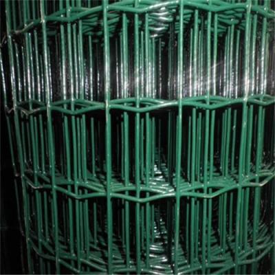 5-50m Lenghth BWG12 PVC Welded Wire Mesh Rolls For Rabbit Cages Chicken Coop