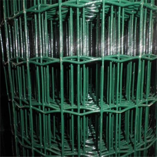 5-50m Lenghth BWG12 PVC Welded Wire Mesh Rolls For Rabbit Cages Chicken Coop