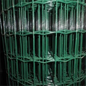 Galvanized+PVC Coated 50x50mm Mesh Size Corrosion Resistant Euro Wire Mesh Fence for Garden and Farm