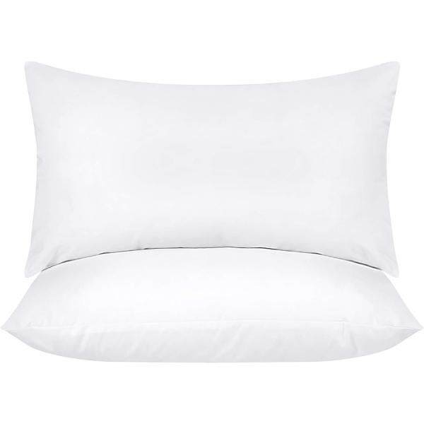 Indoor Decorative Pillows 20 x 26 Inches Bedding Throw Pillows Insert Pack of 2 White