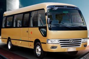 Medical Diesel Cancer Screening Bus Multipurpose For Patient Monitoring