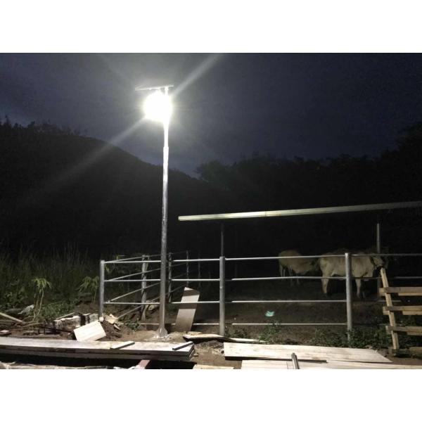 Professional DC 12V Solar Yard Lights With Panel , 3 Years Warranty