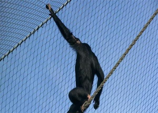 Ferruled Stainless Steel Aviary Netting , Diamond Bird Aviary Mesh Panels 2.0mm SGS