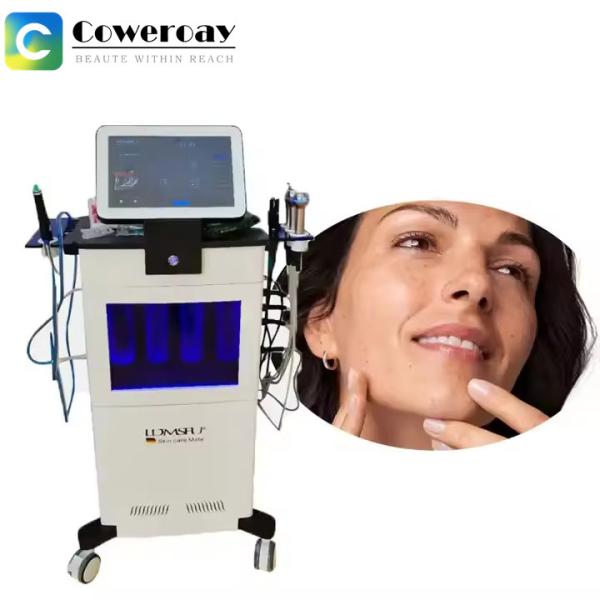 LDM Triple Frequency HIFU Ultrasound Facelift Machine For Wrinkle Remove