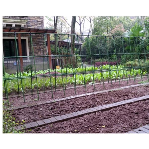 Metal Green Color Plant Sticks 60cm For Sunflower Tomato Stabilizer