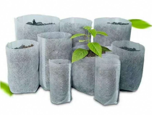 Seed Nursery Agriculture Non Woven Fabric Breathable 100% PP Nonwoven Fabrics