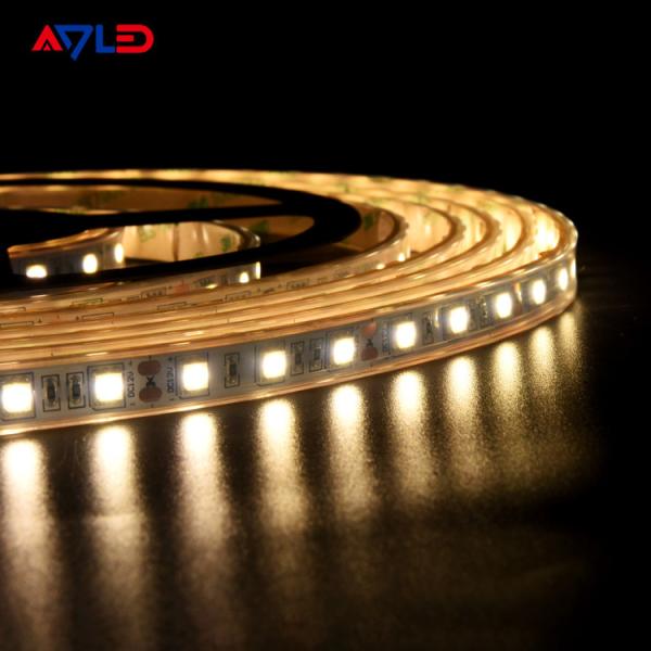 5050 únicas luzes de tira impermeáveis 12V do diodo emissor de luz da cor 24V IP65 exterior verde azul branco morno IP68