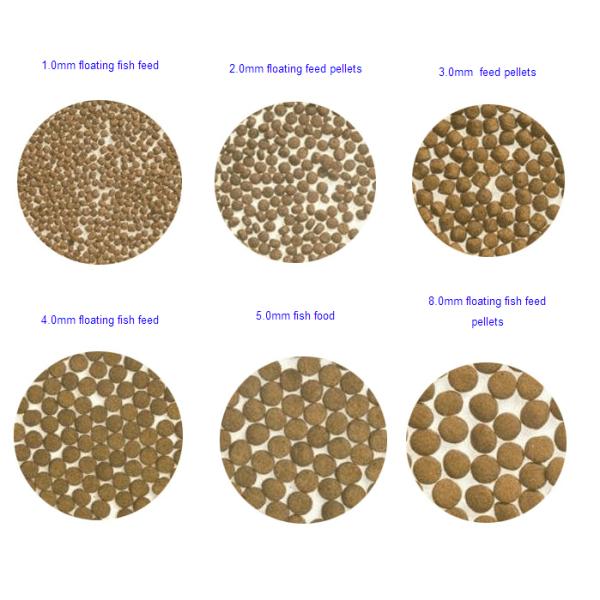 Stainless Steel Twin Screw Food Extruder Shrimp Feed Prawn Feed Manufacturing Machine