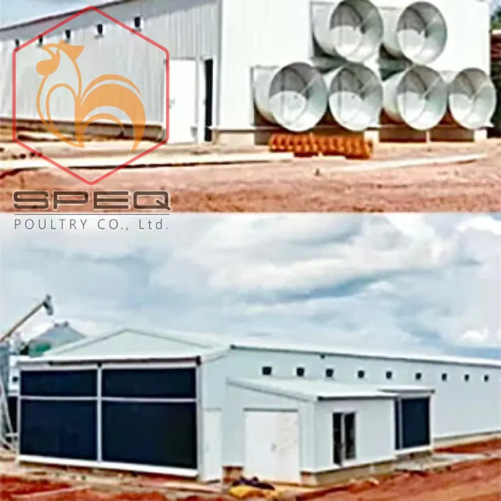 Customizable Poultry Breeding Broiler Equipment Chicken Farm Feeding Line